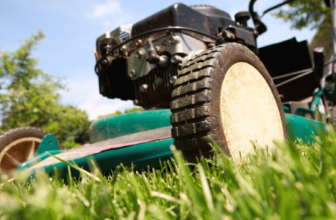 tThe Best Alternatives to Traditional Lawn Care