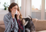 What Are Some Easily Avoidable Indoor Air Pollution Sources?